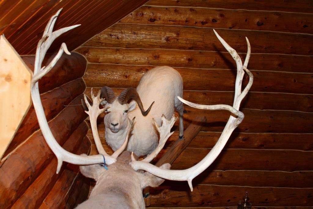 Wise Old Hunter Lodge Anchor Point Quarto foto