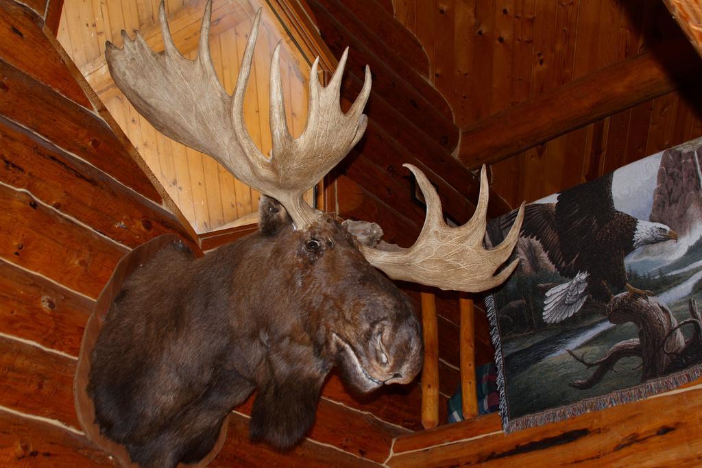Wise Old Hunter Lodge Anchor Point Quarto foto